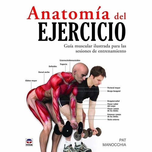 TUTOR ANATOMIA DEL EJERCICIO