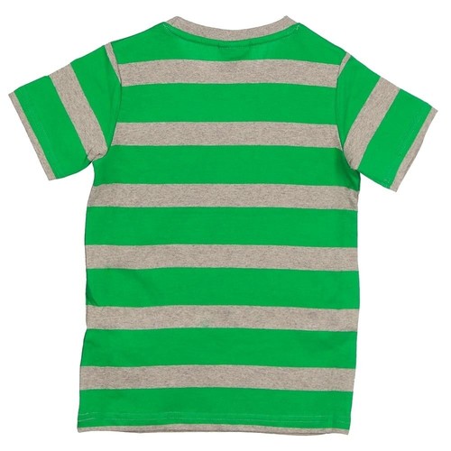 ASTORE CAMISETA CLIFFS verde