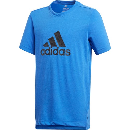 ADIDAS YB PRIME LOG TE azul