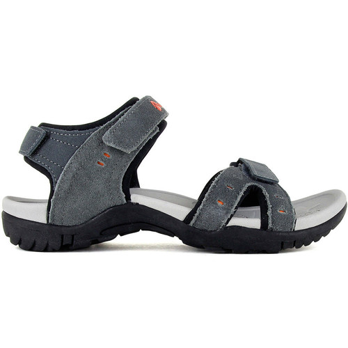 NEAK PEAK MOTER gris
