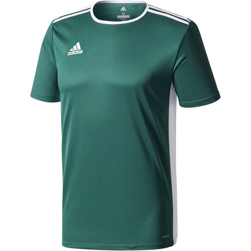 ADIDAS ENTRADA 18 JSY verde