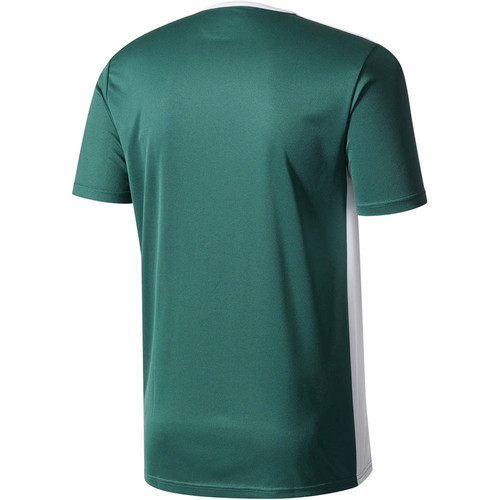 ADIDAS ENTRADA 18 JSY verde