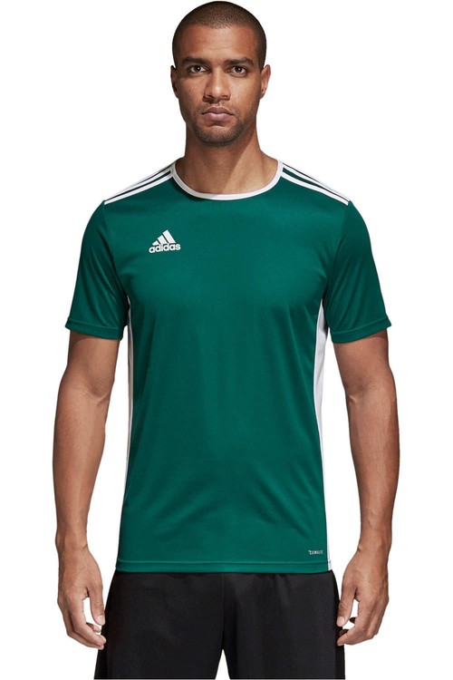 ADIDAS ENTRADA 18 JSY verde