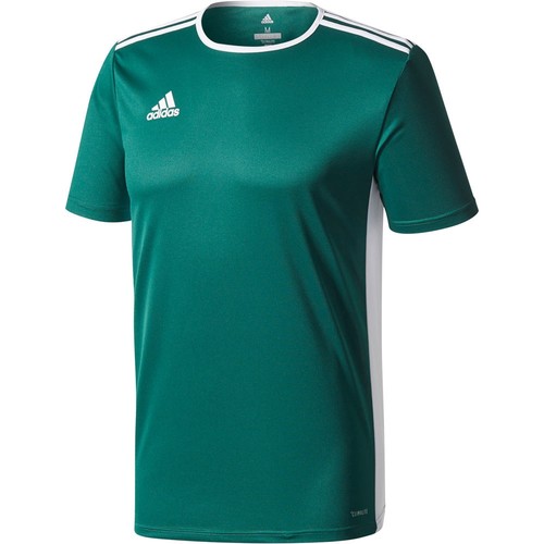 ADIDAS ENTRADA 18 JSY verde