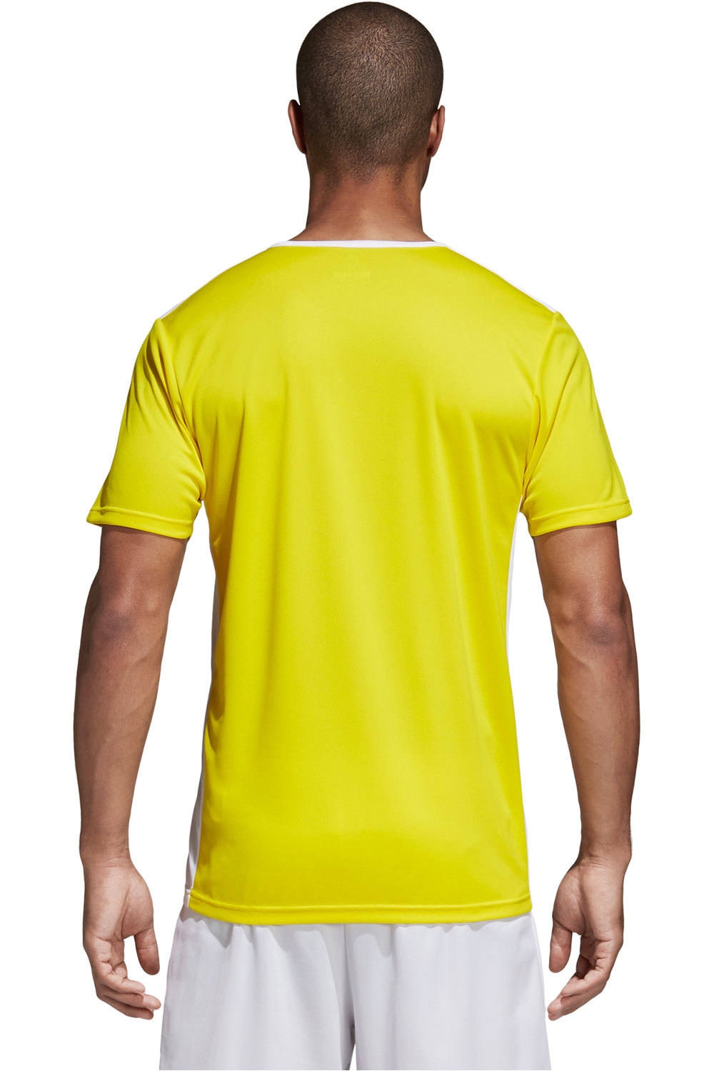 adidas camisetas fútbol manga corta Adidas ENTRADA 18 JSY vista trasera adidas camisetas fútbol manga corta Adidas ENTRADA 18 JSY vista trasera