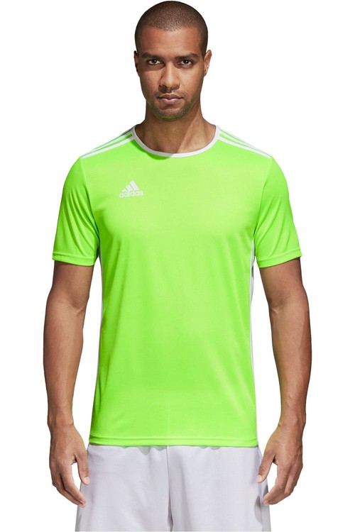 ADIDAS ENTRADA 18 JSY verde