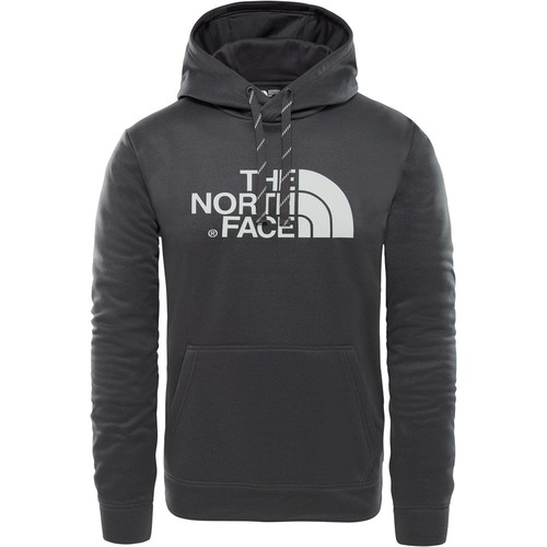 THE NORTH FACE M SUR HD- EU gris