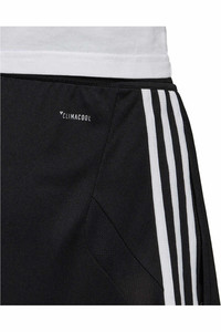 adidas pantalones cortos futbol Adidas TIRO19 TR SHO vista detalle adidas pantalones cortos futbol Adidas TIRO19 TR SHO vista detalle