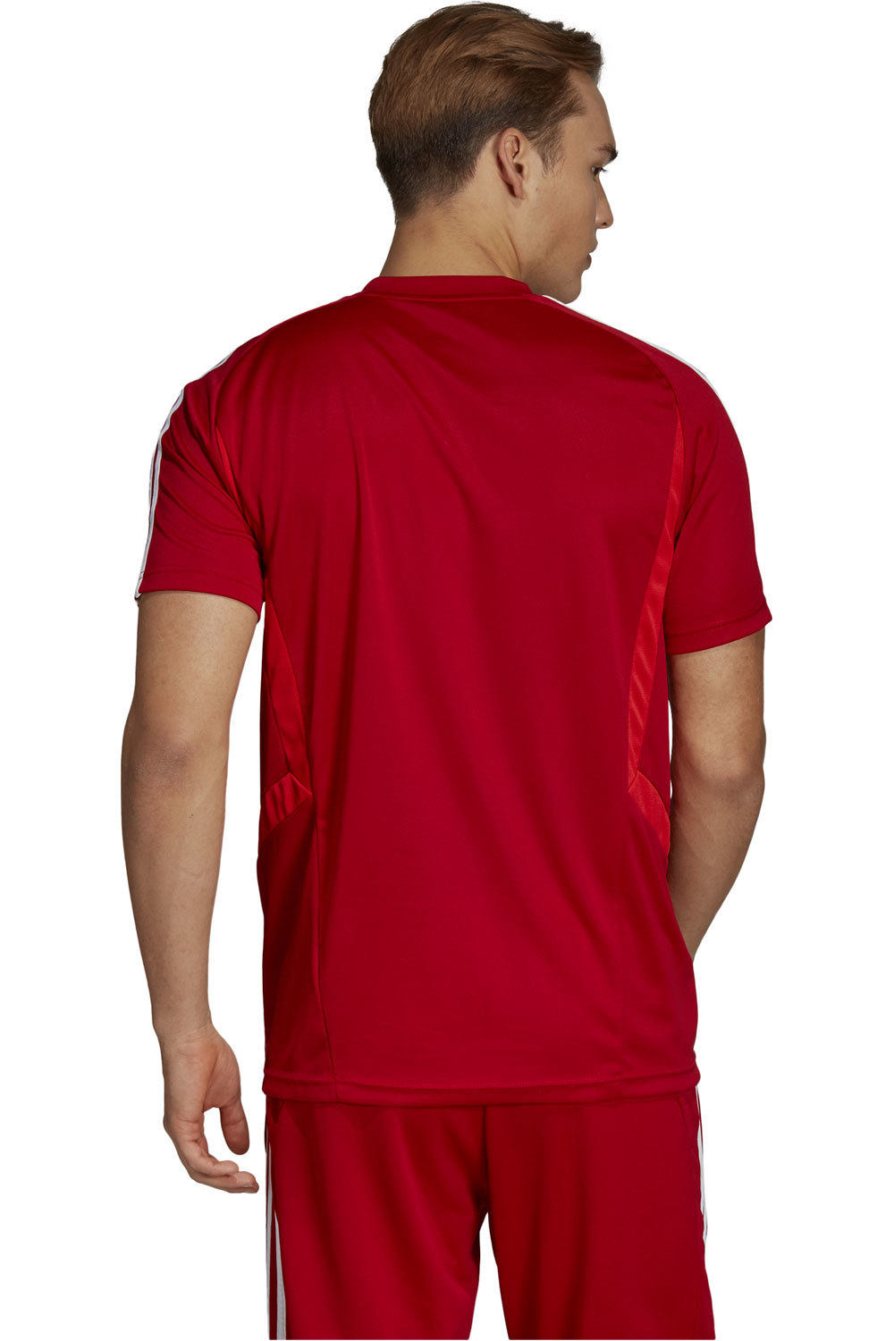 adidas camisetas fútbol manga corta Adidas TIRO19 TR JSY vista trasera adidas camisetas fútbol manga corta Adidas TIRO19 TR JSY vista trasera