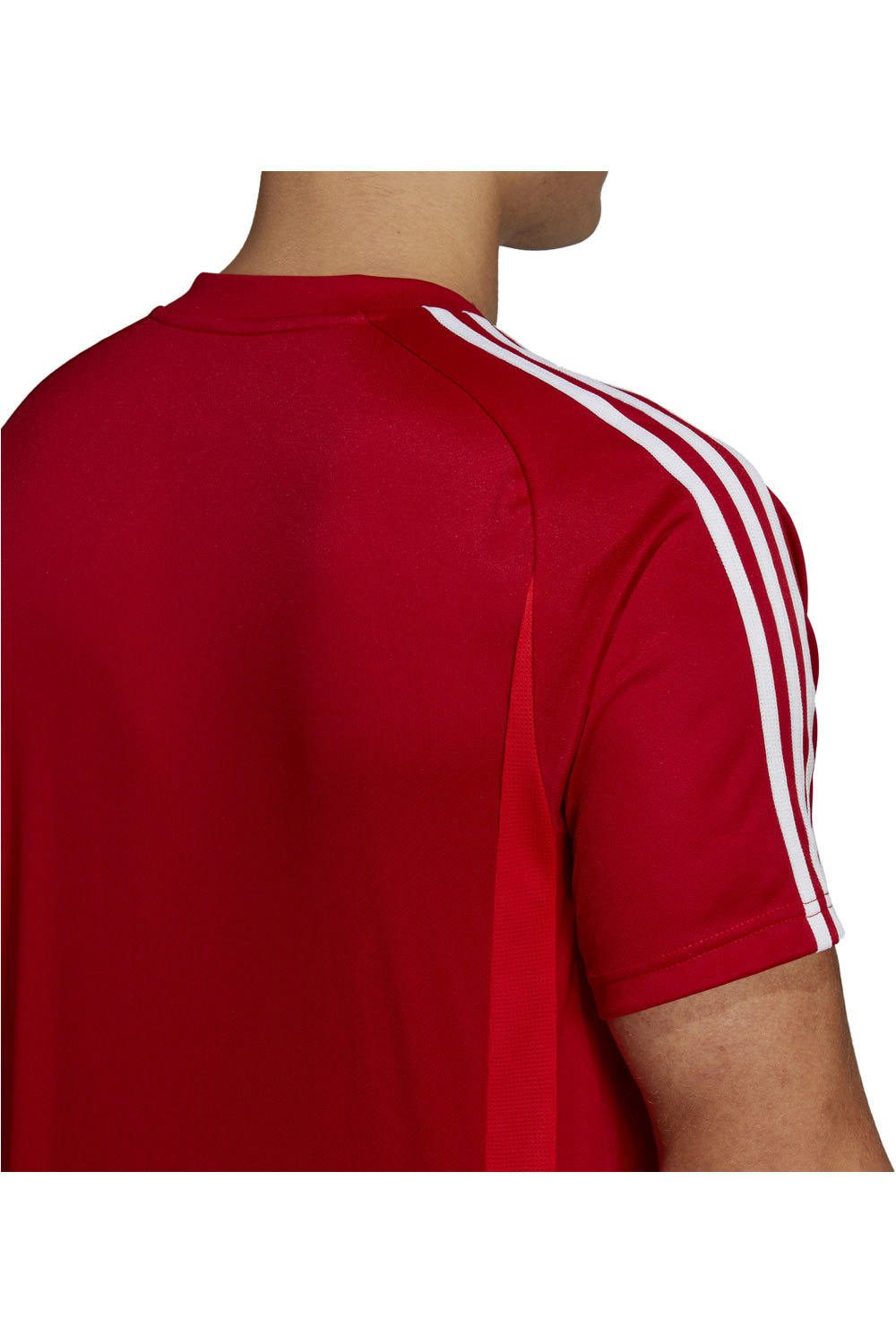 adidas camisetas fútbol manga corta Adidas TIRO19 TR JSY 04 adidas camisetas fútbol manga corta Adidas TIRO19 TR JSY 04