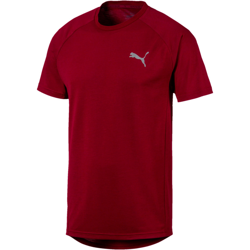 Puma camiseta manga corta hombre Puma EVOSTRIPE TEE vista detalle Puma camiseta manga corta hombre Puma EVOSTRIPE TEE vista detalle