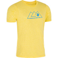 ICAR SF YEL ICAR SF YEL