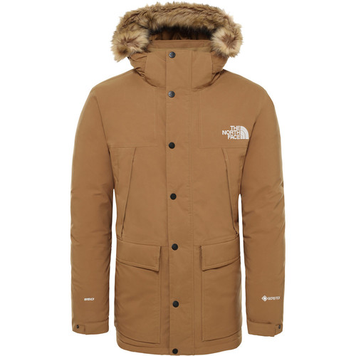 THE NORTH FACE M MOUNTAIN MURDO GTX verde