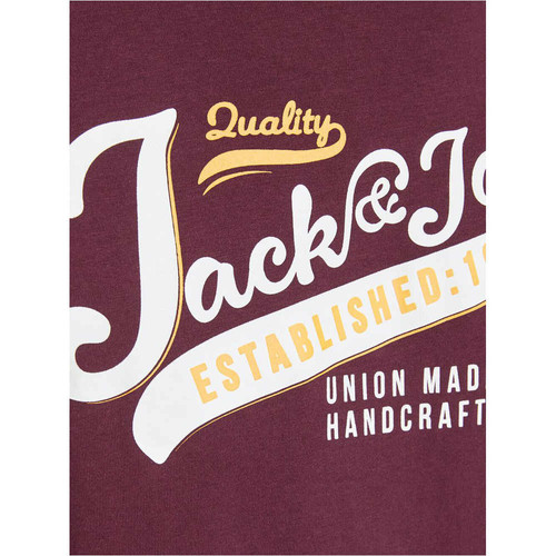J&J JJELOGO TEE SS O-NECK 2 COL AW20 NOOS rojo