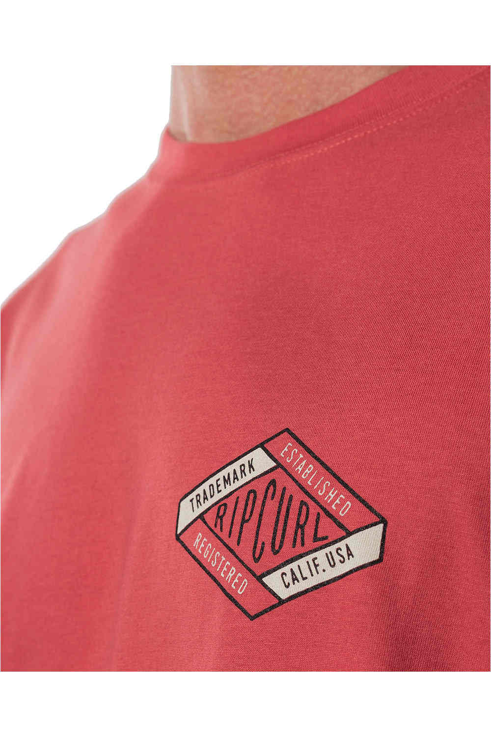 Rip Curl camiseta manga corta hombre Rip Curl DAMS S/S TEE vista detalle Rip Curl camiseta manga corta hombre Rip Curl DAMS S/S TEE vista detalle