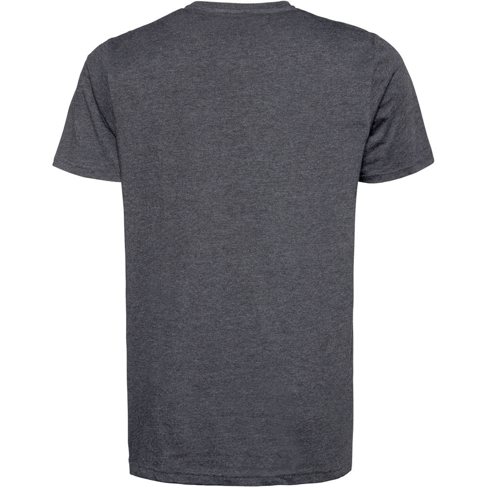 Protest camiseta manga corta hombre Protest HASWELL t-shirt vista trasera Protest camiseta manga corta hombre Protest HASWELL t-shirt vista trasera