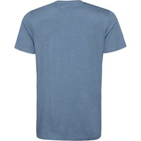 Protest camiseta manga corta hombre Protest HASWELL t-shirt 03 Protest camiseta manga corta hombre Protest HASWELL t-shirt 03