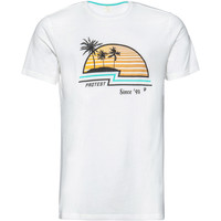 Protest camiseta manga corta hombre Protest HASWELL t-shirt vista detalle Protest camiseta manga corta hombre Protest HASWELL t-shirt vista detalle