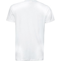 Protest camiseta manga corta hombre Protest HASWELL t-shirt 03 Protest camiseta manga corta hombre Protest HASWELL t-shirt 03