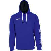 TEAM II HOODY AZ TEAM II HOODY AZ