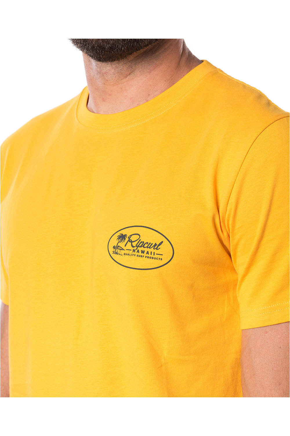 Rip Curl camiseta manga corta hombre Rip Curl ALOHA STATE S/S TEE vista detalle Rip Curl camiseta manga corta hombre Rip Curl ALOHA STATE S/S TEE vista detalle
