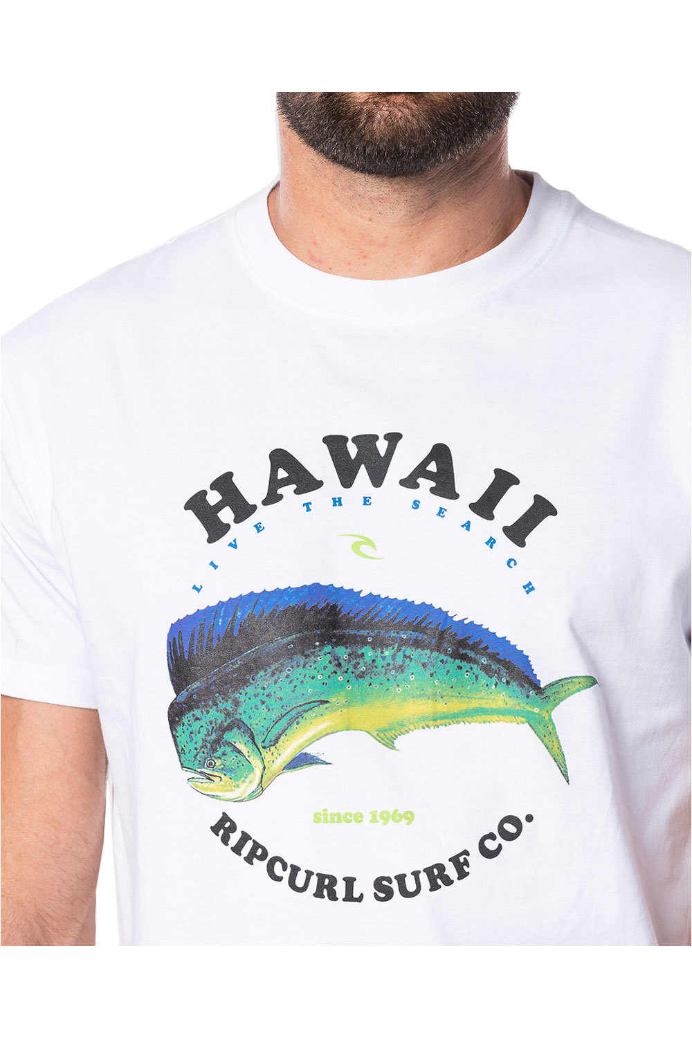Rip Curl camiseta manga corta hombre Rip Curl DESTINATION SURF S/S TEE vista detalle Rip Curl camiseta manga corta hombre Rip Curl DESTINATION SURF S/S TEE vista detalle