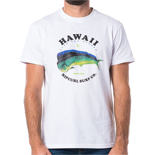 RIP CURL DESTINATION SURF S/S TEE blanco