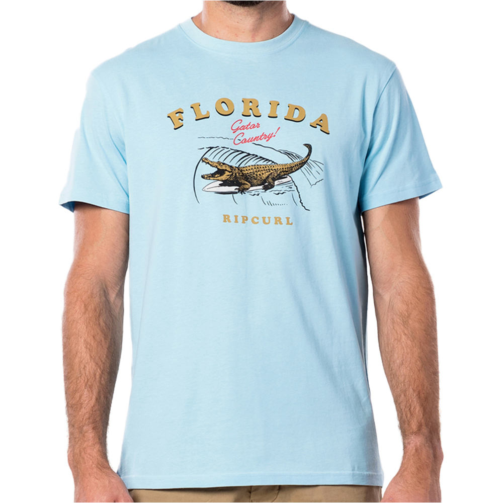 Rip Curl camiseta manga corta hombre Rip Curl DESTINATION SURF S/S TEE vista detalle Rip Curl camiseta manga corta hombre Rip Curl DESTINATION SURF S/S TEE vista detalle