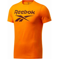 GS Reebok Stacked Tee GS Reebok Stacked Tee