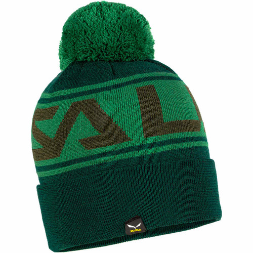 SALEWA ANTELAO POM BEANIE verde