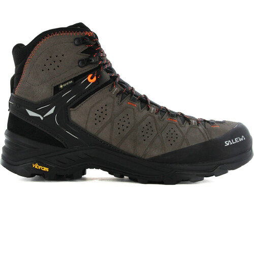 SALEWA ALPINE TRAINER 2 MID GORE-TEX marron