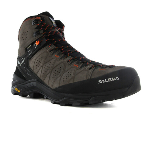 SALEWA ALPINE TRAINER 2 MID GORE-TEX marron