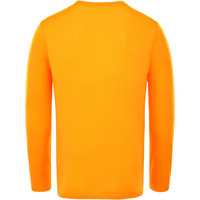 The North Face camiseta técnica manga larga hombre The North Face M REAXION AMP L/S CREW vista trasera The North Face camiseta técnica manga larga hombre The North Face M REAXION AMP L/S CREW vista trasera