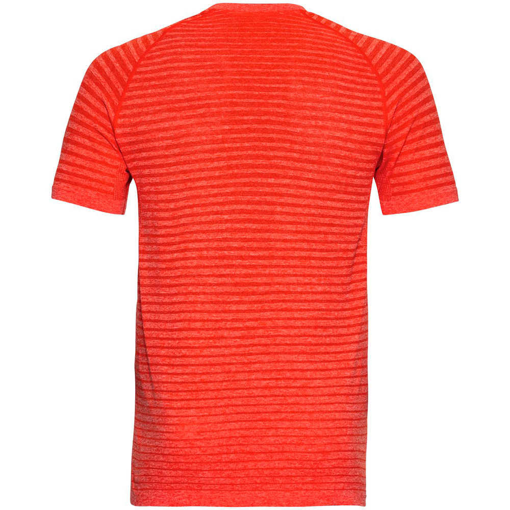 Odlo camiseta técnica manga corta hombre Odlo T-shirt s/s crew neck SEAMLESS ELEMENT vista trasera Odlo camiseta técnica manga corta hombre Odlo T-shirt s/s crew neck SEAMLESS ELEMENT vista trasera
