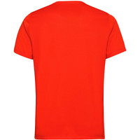 Odlo camiseta técnica manga corta hombre Odlo T-shirt s/s crew neck ELEMENT LIGHT PRIN vista trasera Odlo camiseta técnica manga corta hombre Odlo T-shirt s/s crew neck ELEMENT LIGHT PRIN vista trasera