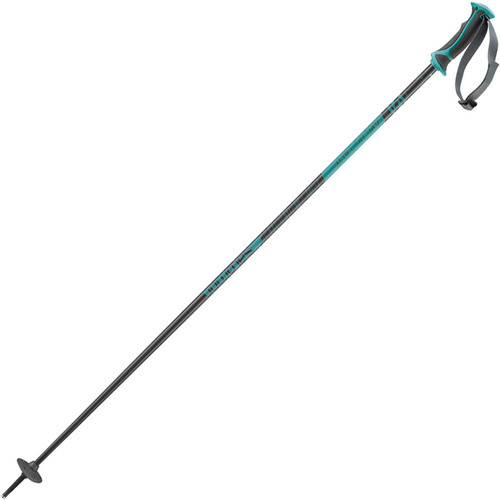 SALOMON POLES ARCTIC LADY gris