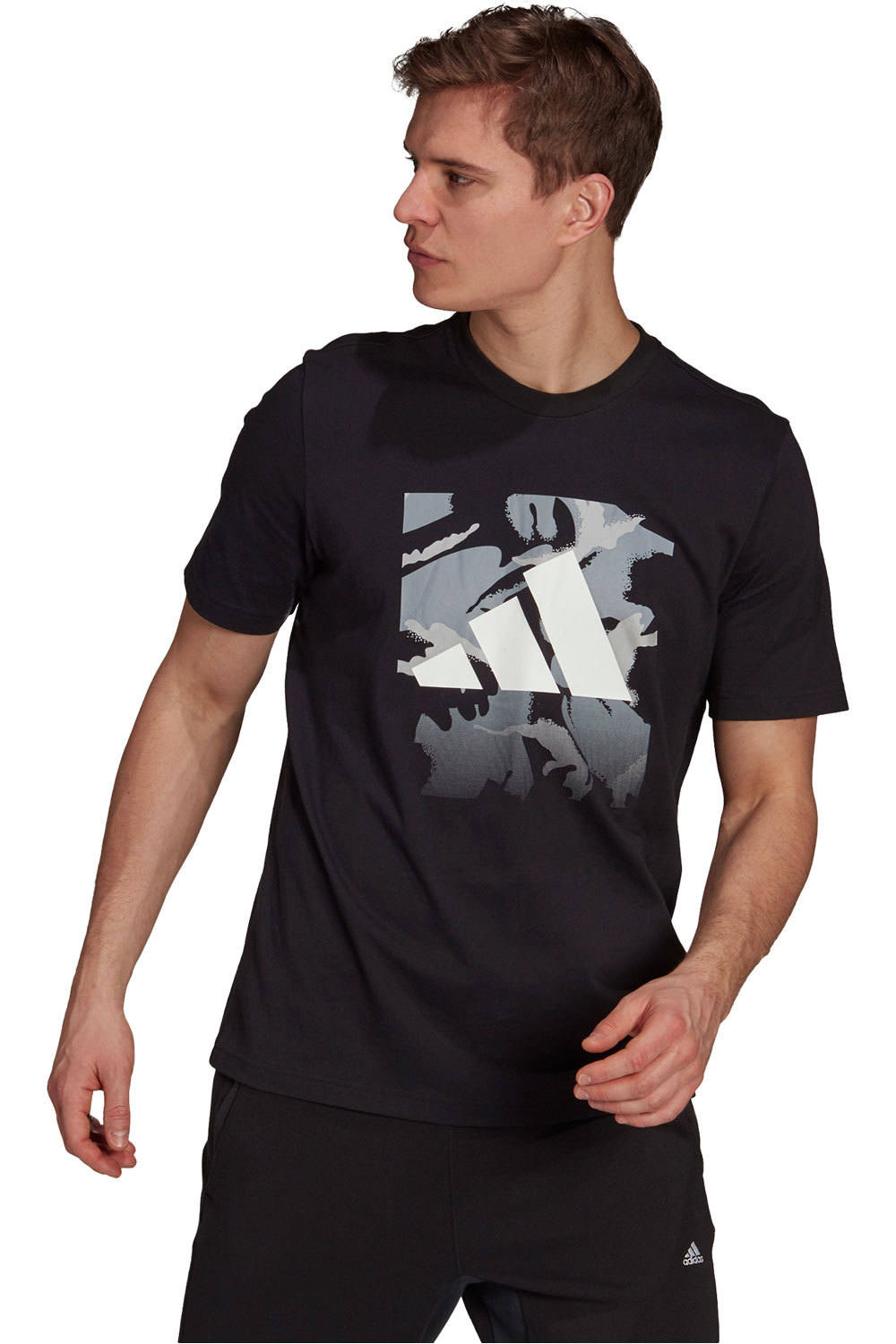 adidas camiseta manga corta hombre Adidas Z_CAMO BOS TEE vista frontal adidas camiseta manga corta hombre Adidas Z_CAMO BOS TEE vista frontal