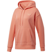 RI French Terry Hoody NA RI French Terry Hoody NA