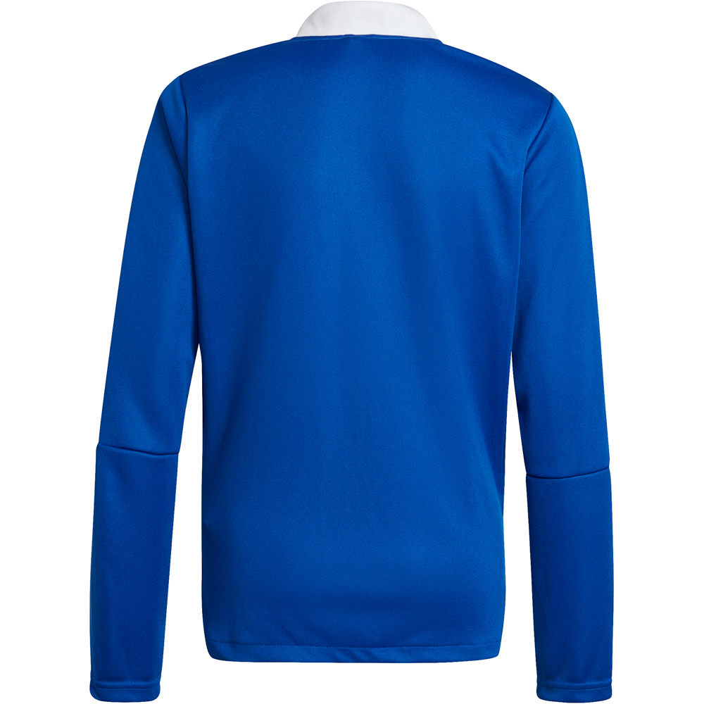 adidas sudadera entrenamiento fútbol niño Adidas TIRO21 TK JKT Y vista trasera adidas sudadera entrenamiento fútbol niño Adidas TIRO21 TK JKT Y vista trasera