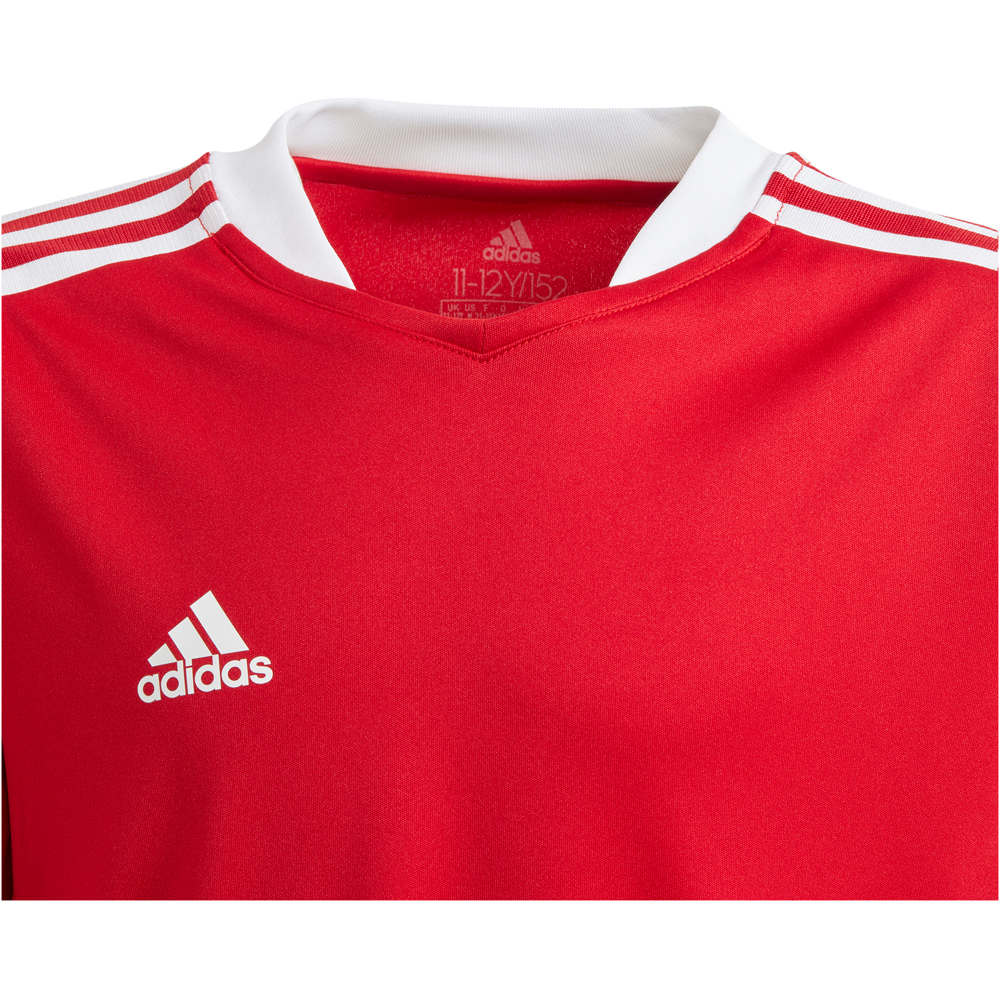 adidas camisetas entrenamiento futbol manga corta niño Adidas TIRO21 TR JSY Y vista detalle adidas camisetas entrenamiento futbol manga corta niño Adidas TIRO21 TR JSY Y vista detalle