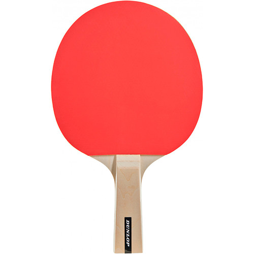 DUNLOP MATCH (2 PALAS)