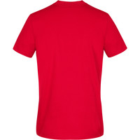 Le Coq Sportif camiseta manga corta hombre Le Coq Sportif GRAPHIQUE Tee SS N4 M vista trasera Le Coq Sportif camiseta manga corta hombre Le Coq Sportif GRAPHIQUE Tee SS N4 M vista trasera