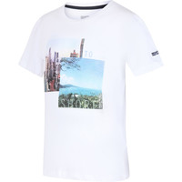 Bosley III Bosley III