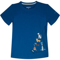 Bosley III Bosley III