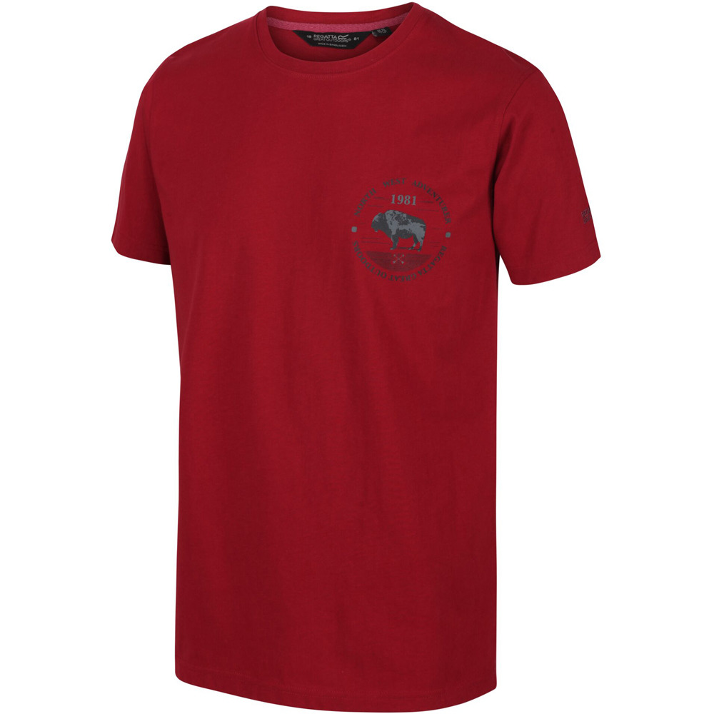 Regatta camiseta montaña manga corta hombre Regatta Cline IV vista detalle Regatta camiseta montaña manga corta hombre Regatta Cline IV vista detalle