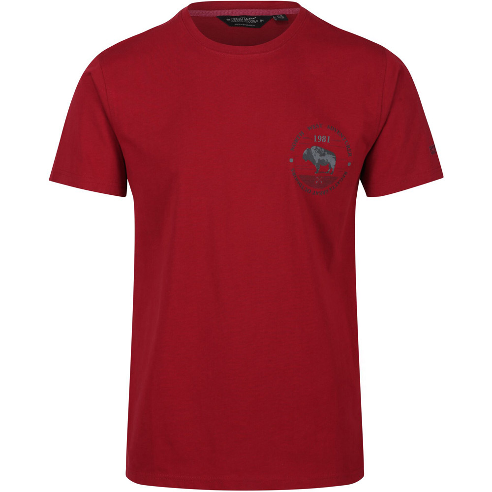 Regatta camiseta montaña manga corta hombre Regatta Cline IV 04 Regatta camiseta montaña manga corta hombre Regatta Cline IV 04
