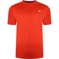 Discernible Tee Discernible Tee