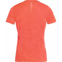 Odlo camiseta entrenamiento manga corta mujer Odlo T-shirt MC ZEROWEIGHT ENGINEE vista trasera Odlo camiseta entrenamiento manga corta mujer Odlo T-shirt MC ZEROWEIGHT ENGINEE vista trasera