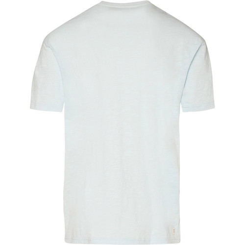 PROTEST HOBBES T-SHIRT gris