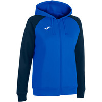 CHAQUETA CON CAPUCHA ACADEMY IV CHAQUETA CON CAPUCHA ACADEMY IV